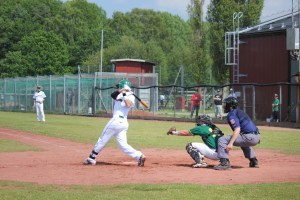 Stockholm bats come alive