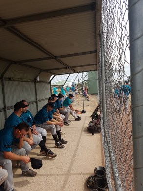 Cods 35 bench vs tassie